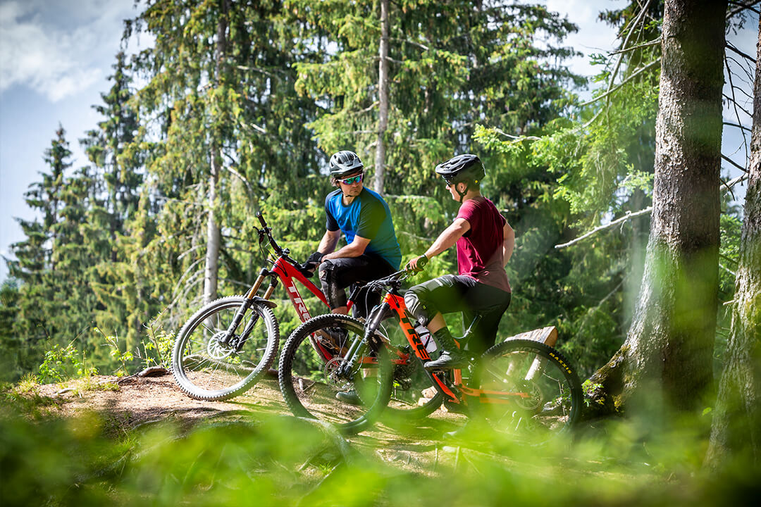 Two mountain bikers wearing helmets and knee pads take a break from riding their bright red bikes. They are on a dirt trail with large evergreen trees surrounding them.