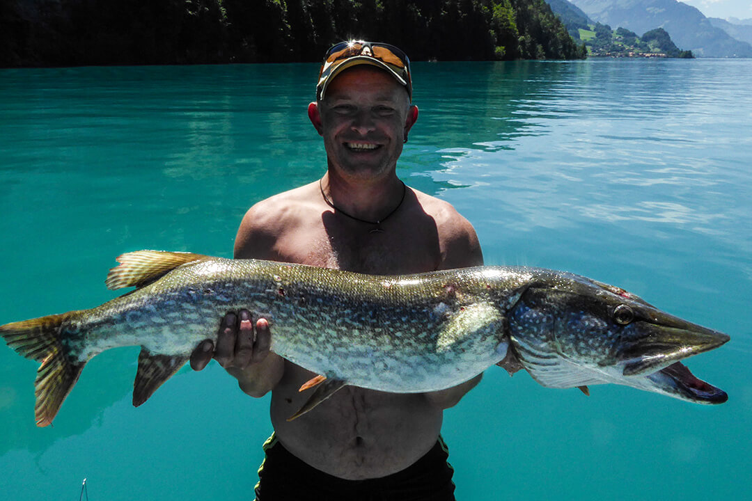 a man wearing no shirt, a baseball cap, sport sunglasses and black shorts proudly holds a giant fish. He is smiling. The fish extends the length of the man's wingspan. In the background is the brilliant blue water and mountains in the distance