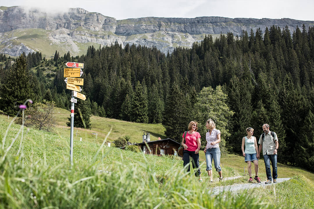 a group of people, three woman and one man, dressed in hiking gear take a walk along a dirt path. In the background is a cabin, a forest of evergreen trees and the tops of the swiss alps. The group of people are relaxed, chatting and smiling.