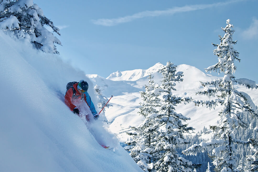 a male skier in a bright red and blue jacket and black helmet skis down a steep decline. The powdery snow flies around his body from the speed of his run. In the background are evergreen trees and the jagged peaks of the swiss alps.