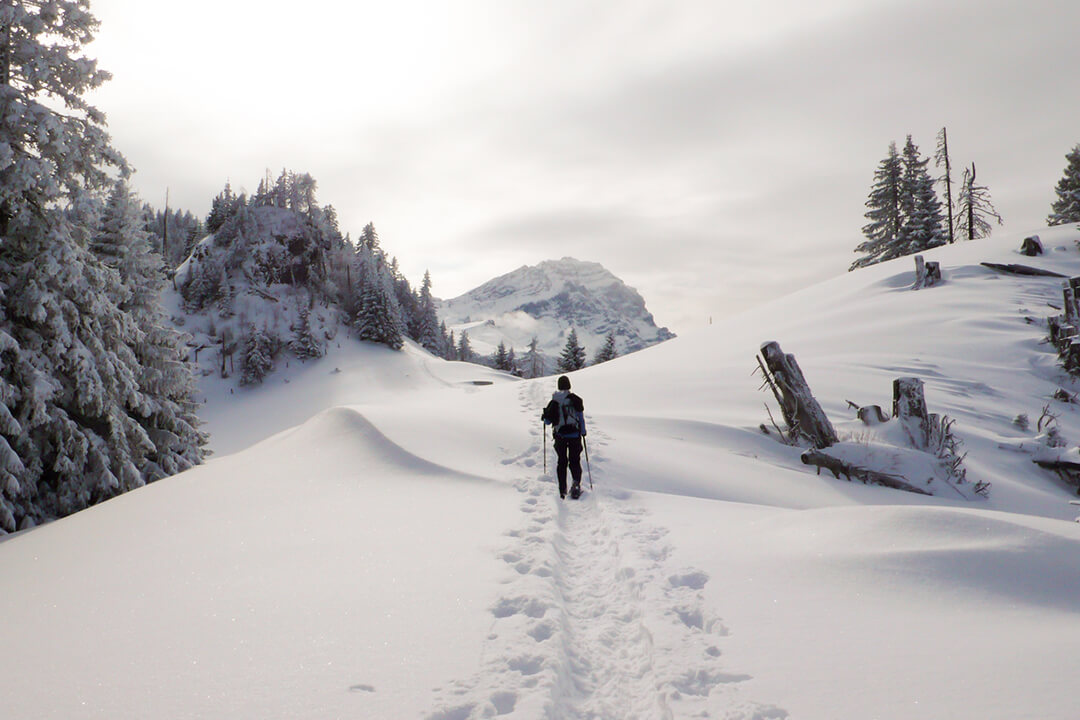 a lone snow shoer in an all black outfit treks through the powdery snow. On the right is a forest of evergreen trees dusted with snow. In the distance is a jagged, snow covered peak of a mountain.