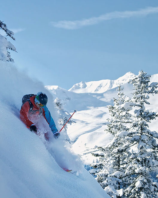 a male skier in a bright red and blue jacket and black helmet skis down a steep decline. The powdery snow flies around his body from the speed of his run. In the background are evergreen trees and the jagged peaks of the swiss alps.