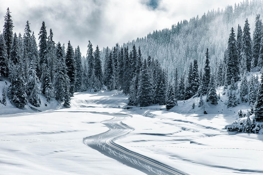 snowy mountain and trees, ground is covered with snow with small curve track on the road, blue sky and clouds in the background