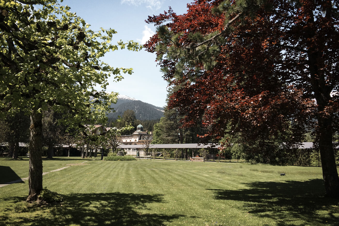 a landscape shot of the Waldhaus Flims resort building and the surrounding grounds. The building is white and is contrasted by the bright green of the evergreen trees that surround it.