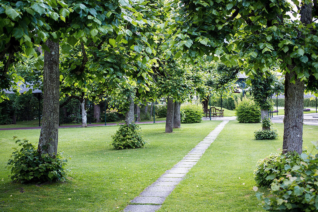 landscape shot of the resort's park. There is a narrow path leading through the green grass. On either side of the path are trees. There is a wooden bench at the end of the path.