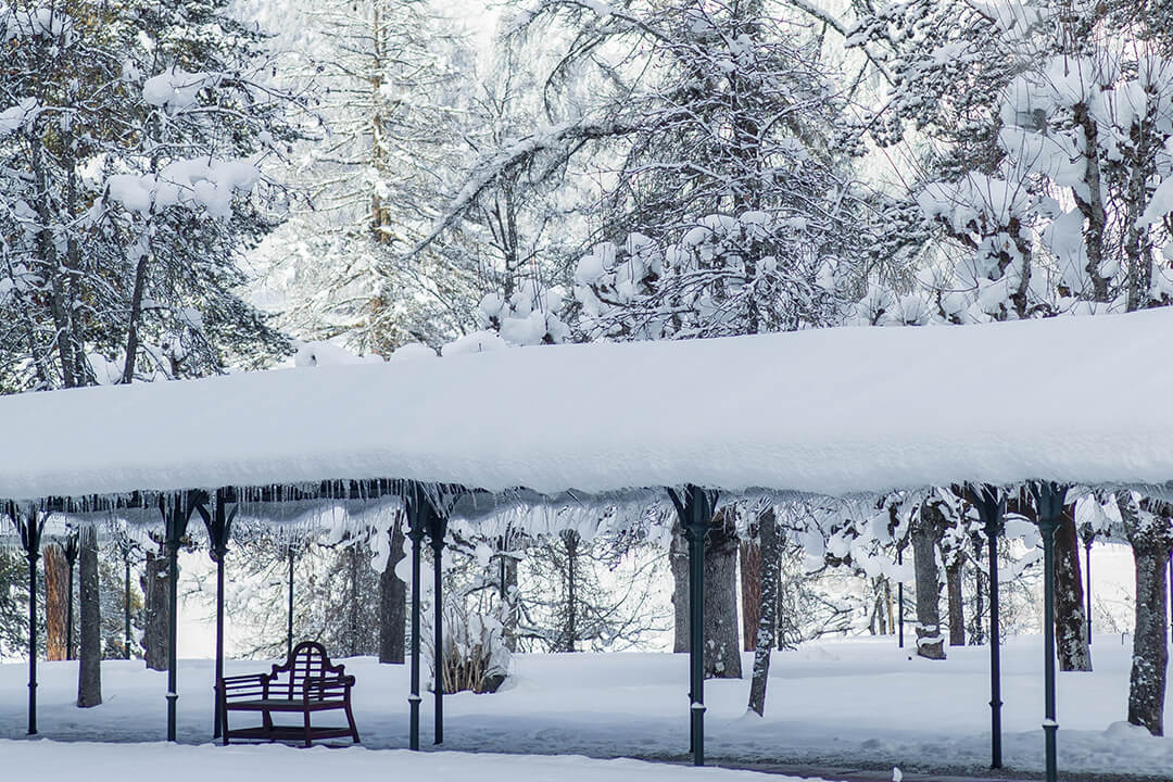 beautiful snow covered walkway with a quiet bench with snow covered trees in the background
